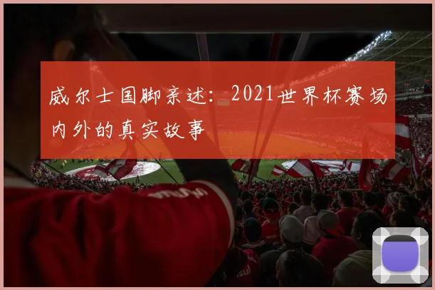 威尔士国脚亲述:2021世界杯赛场内外的真实故事