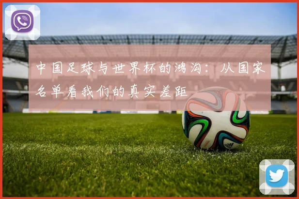 中国足球与世界杯的鸿沟:从国家名单看我们的真实差距