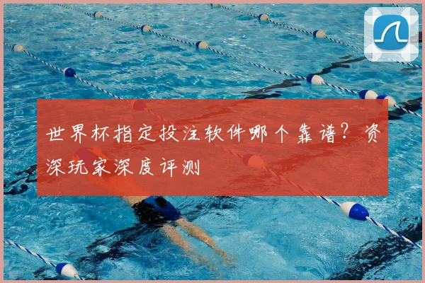 世界杯指定投注软件哪个靠谱?资深玩家深度评测