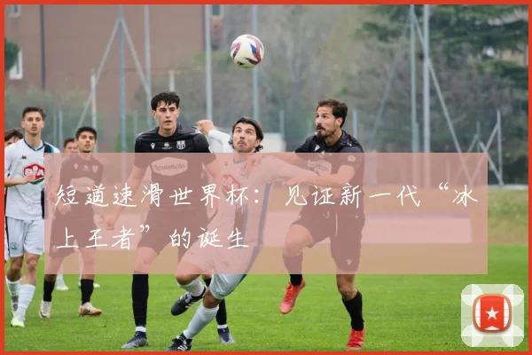 短道速滑世界杯：见证新一代“冰上王者”的诞生